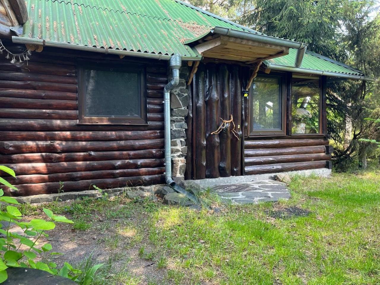 Zelenyi Rai Apartment Svityaz' Room photo