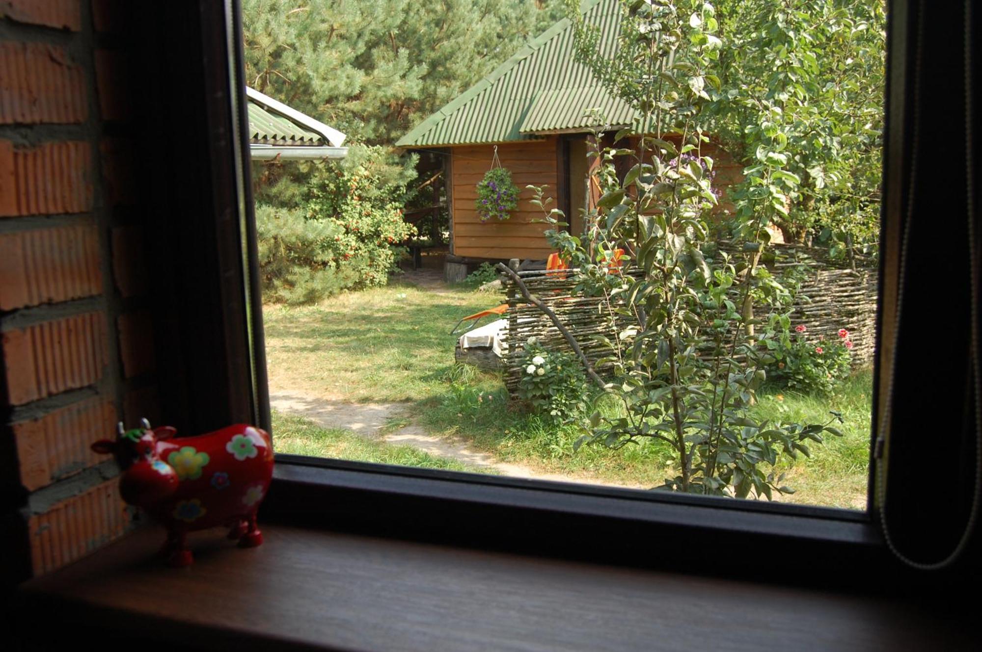 Zelenyi Rai Apartment Svityaz' Room photo